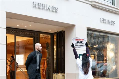 hermes protest|Hermes stink bomb.